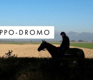 IPPO-DROMO