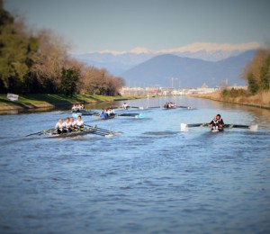 Navicelli+Rowing+Marathon
