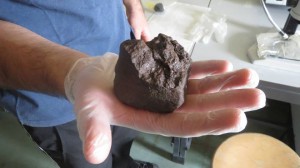 La meteorite più grossa ritrovata, pesa 566g.